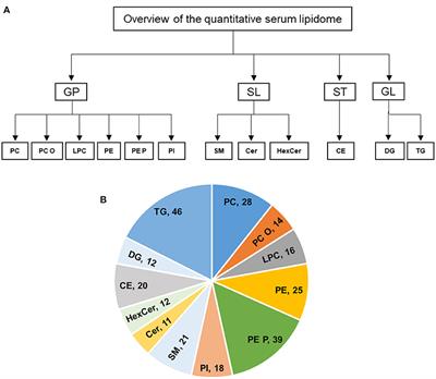 Quantitative Lipidomic Analysis of Takotsubo Syndrome Patients' Serum